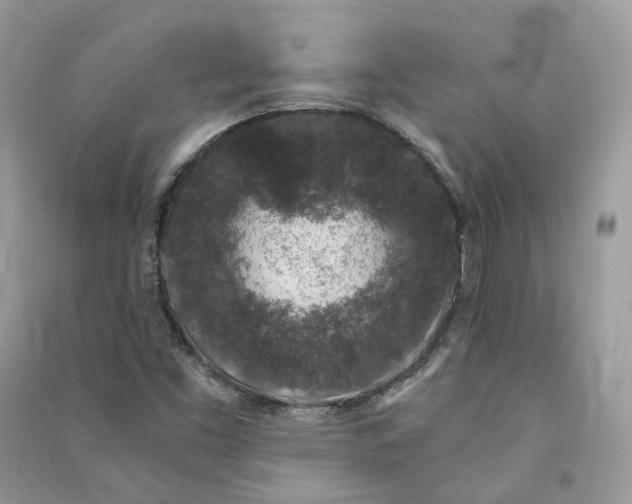 X0000090921453200708131422