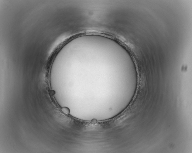 X0000090921454200708131422