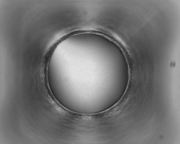X0000090921456200708131422