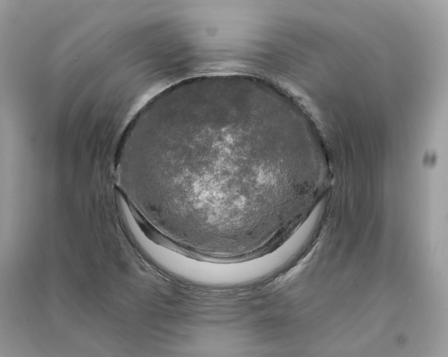 X0000090921457200708131422
