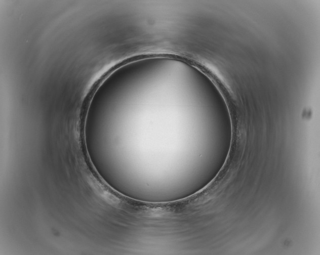 X0000090921460200708131422