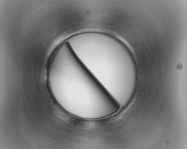 X0000090921461200708131422