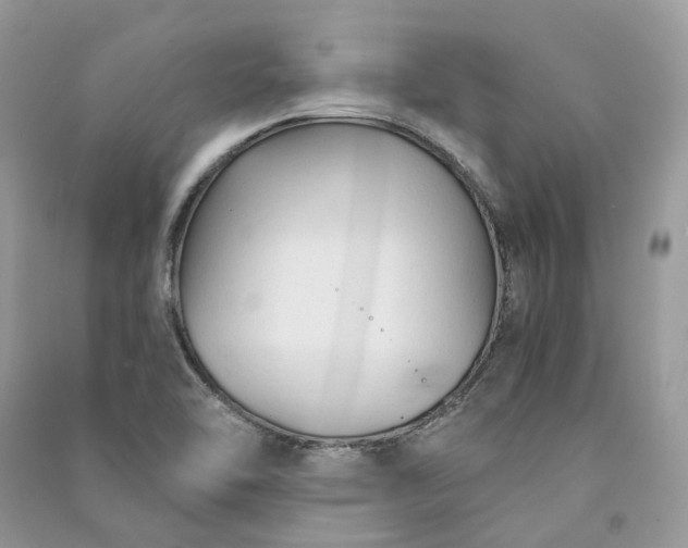 X0000090921462200708131422