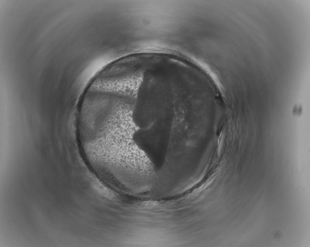 X0000090921463200708131422