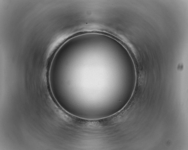 X0000090921464200708131422