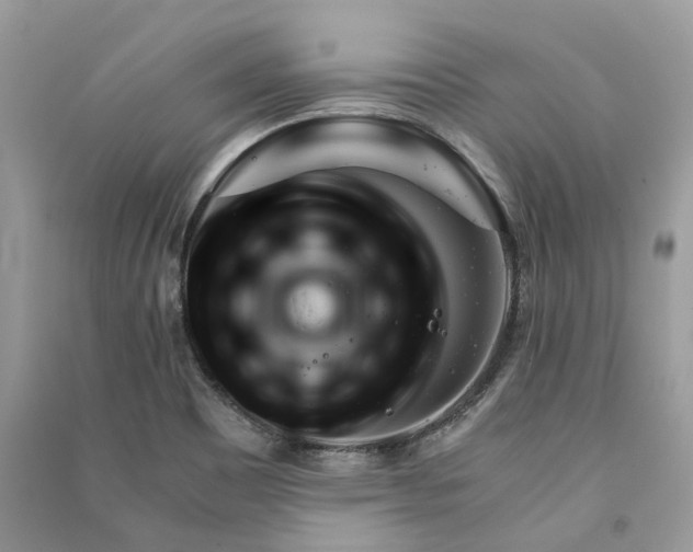 X0000090921465200708131422