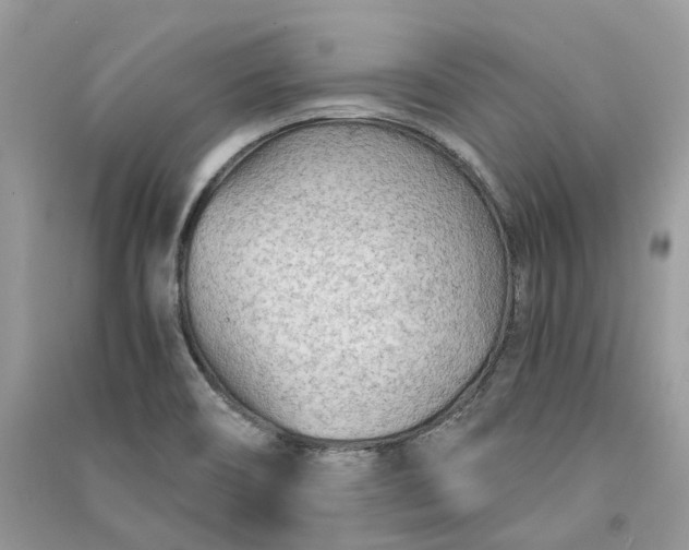 X0000090921466200708131422