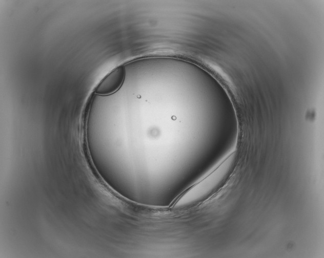 X0000090921467200708131422