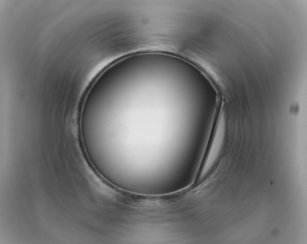 X0000090921468200708131422