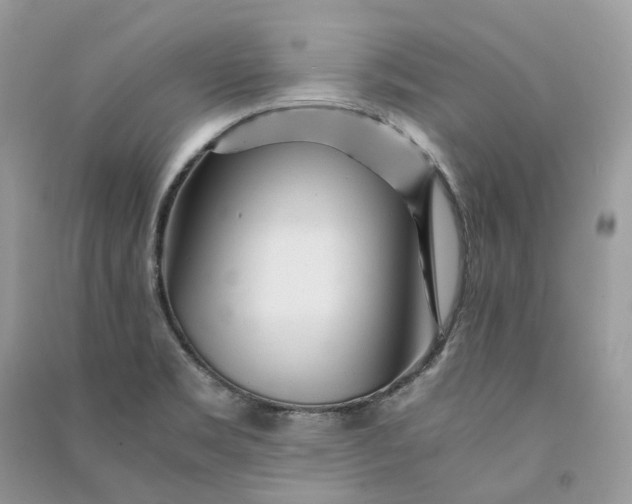 X0000090921469200708131422