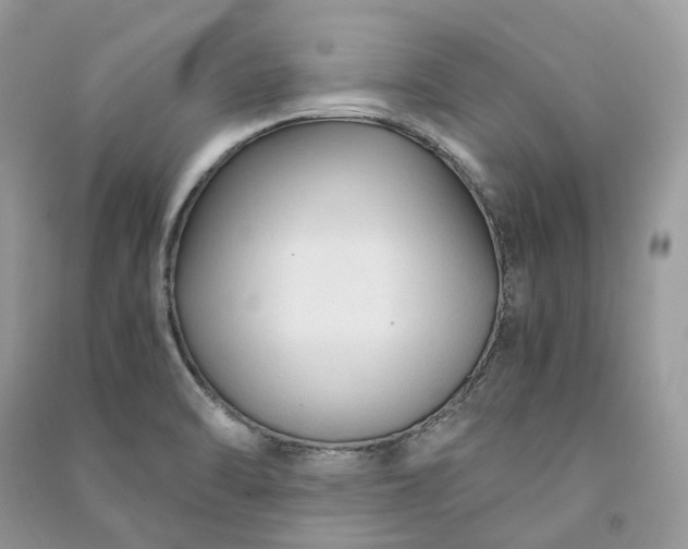 X0000090921470200708131422