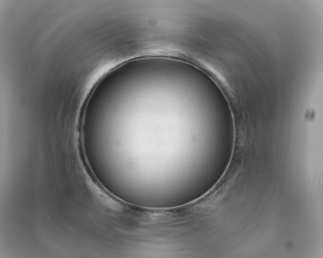 X0000090921471200708131422