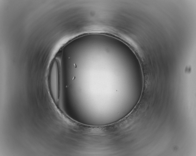 X0000090921472200708131422