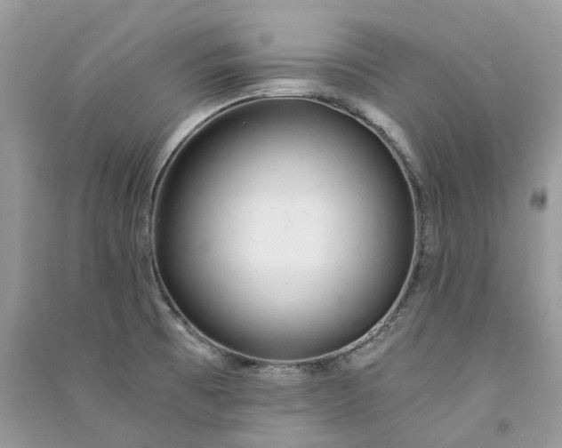 X0000090921473200708131422