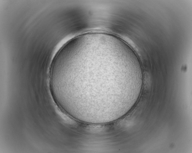 X0000090921474200708131422