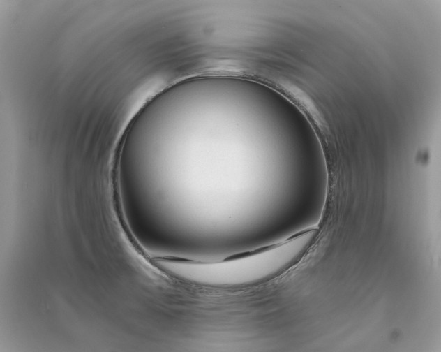 X0000090921475200708131422