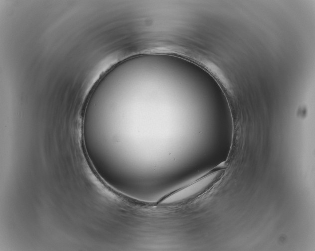X0000090921476200708131422
