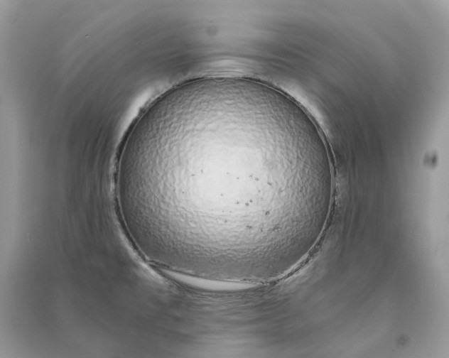 X0000090921477200708131422