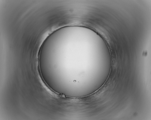 X0000090921479200708131422