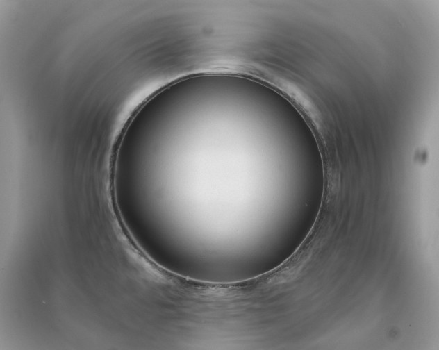 X0000090921480200708131422