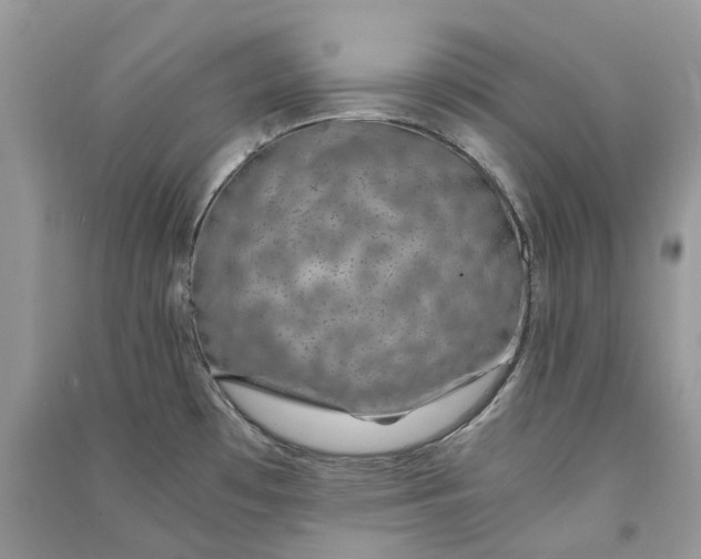 X0000090921481200708131422
