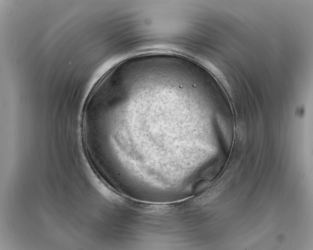 X0000090921482200708131422