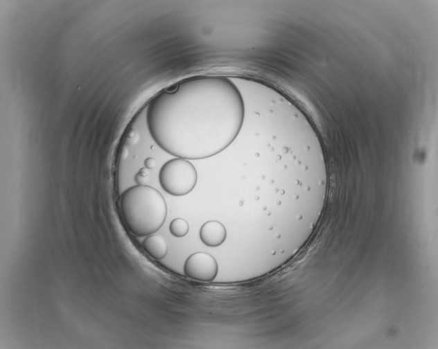 X0000090921483200708131422