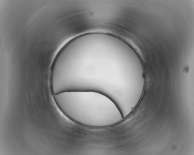 X0000090921484200708131422