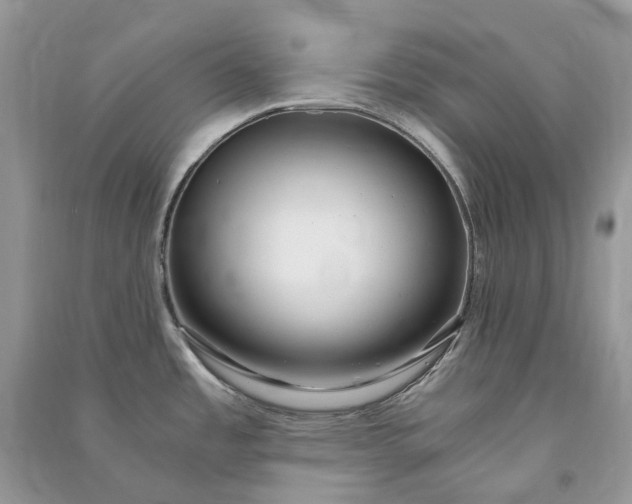 X0000090921485200708131422