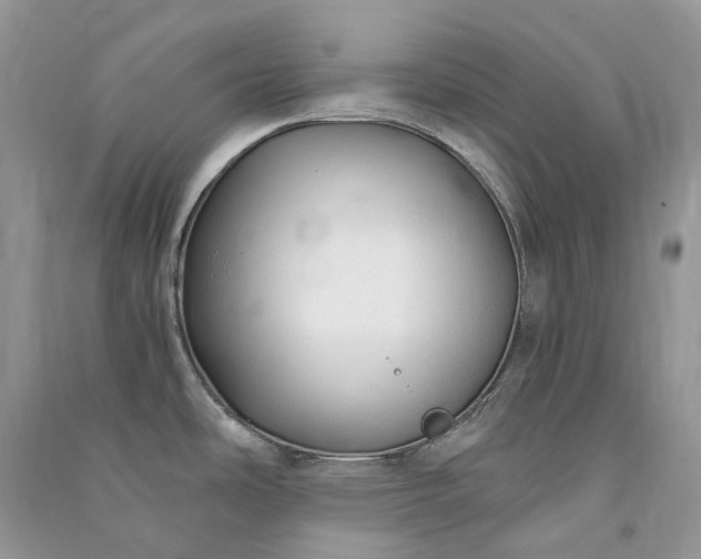 X0000090921486200708131422