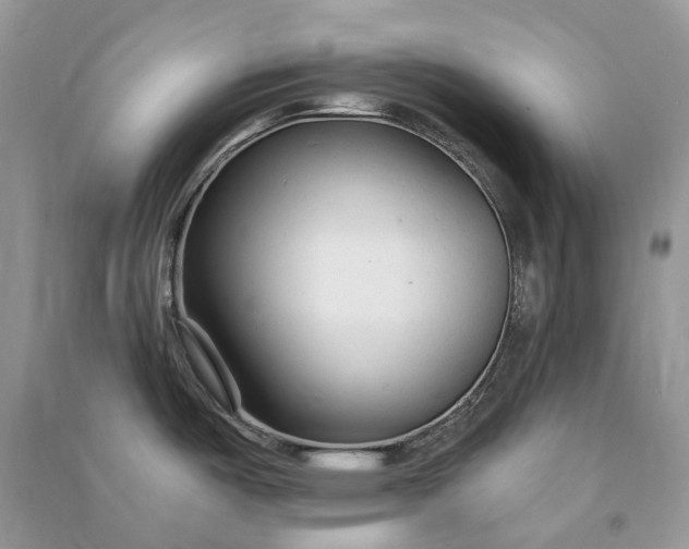 X0000090921487200708131422
