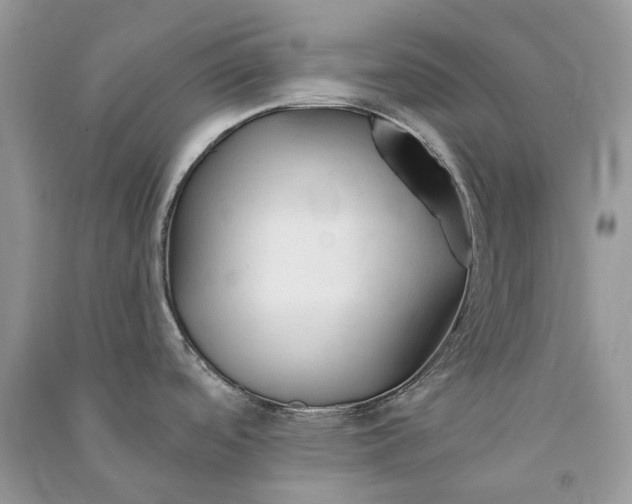X0000090921488200708131422