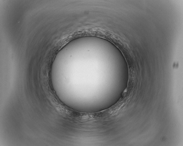 X0000090921489200708131421