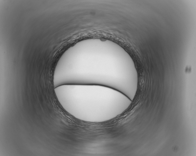 X0000090921490200708131421