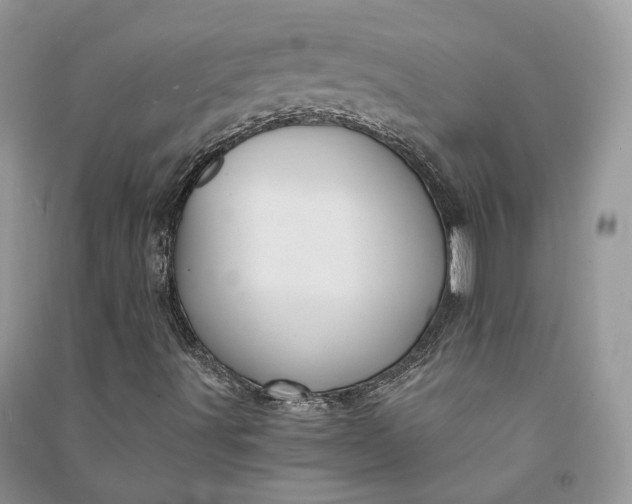 X0000090921491200708131421