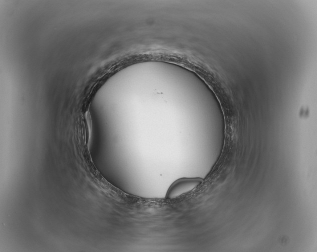 X0000090921493200708131422