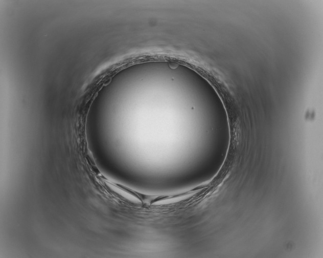 X0000090921494200708131422