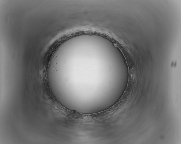 X0000090921495200708131422