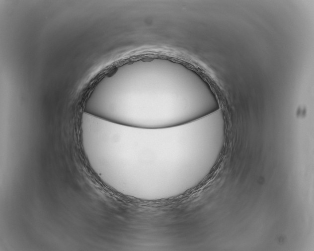 X0000090921496200708131422