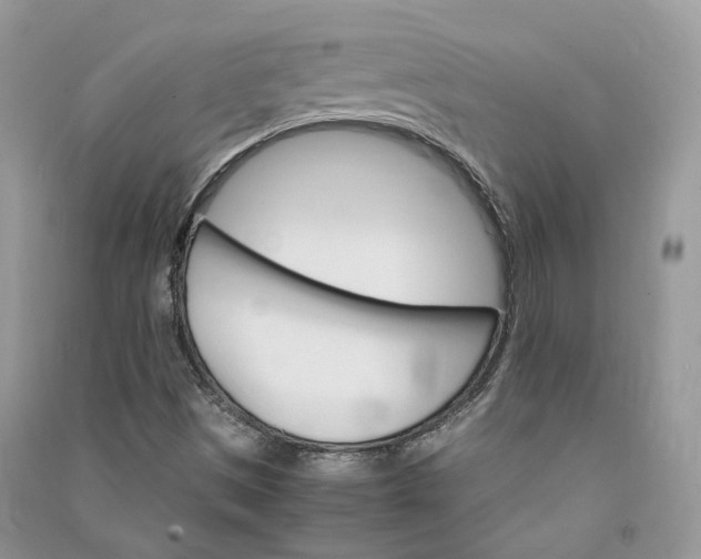 X0000090921497200708131422