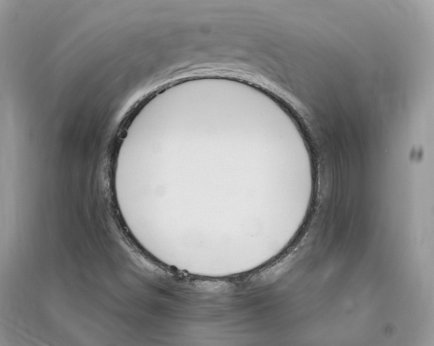 X0000090921498200708131422