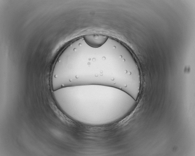 X0000090921499200708131422