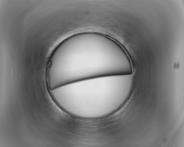 X0000090921500200708131422