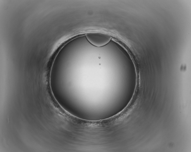 X0000090921501200708131422