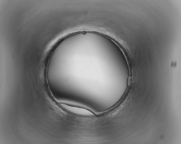 X0000090921502200708131422