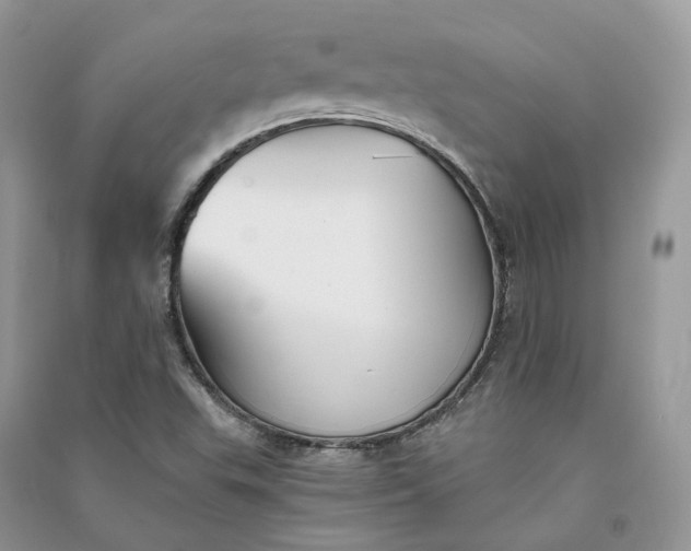 X0000090921503200708131422
