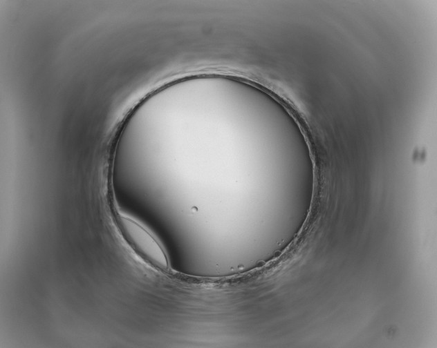 X0000090921504200708131422