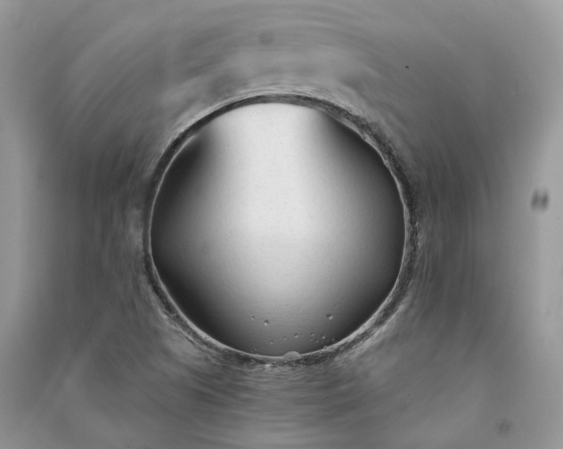 X0000090921505200708131422