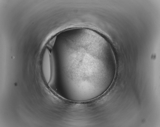 X0000090921506200708131422