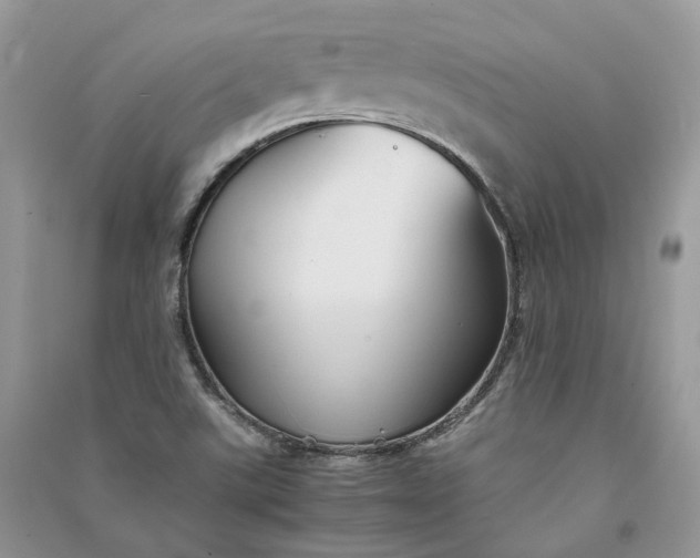 X0000090921507200708131422